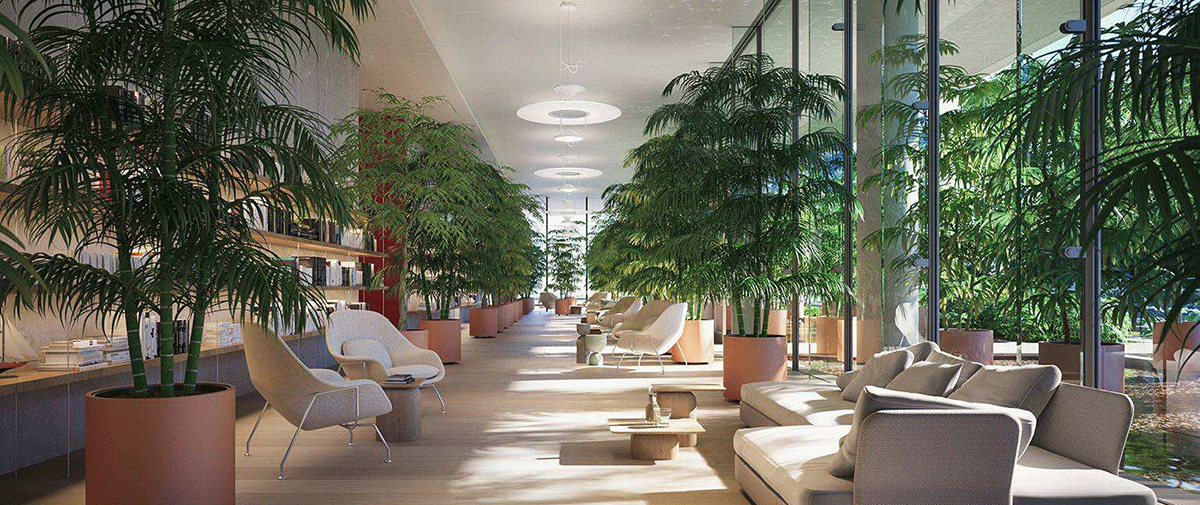 网友推荐的成都高端SPA足道技师颜值高,很配合很热情